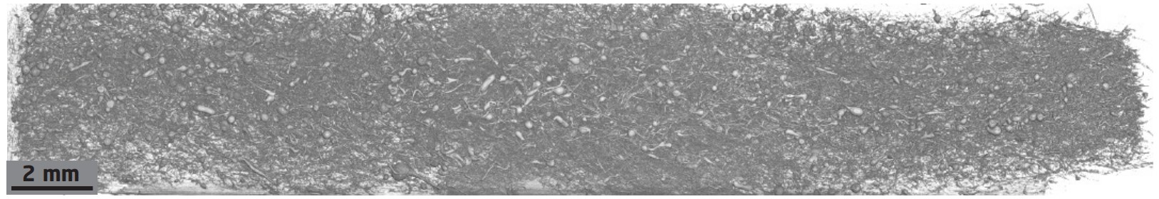 3D-rendering of the insulation material. The image is set together from 6 individual scans in order to probe a long part of the sample while at the same time keeping  a high resolution with a voxel size of 4.95 µm3. The inspection from this perspective only gives a glimpse of the complex structure of the material with tightly packed  non-oriented fibres of different diameters.