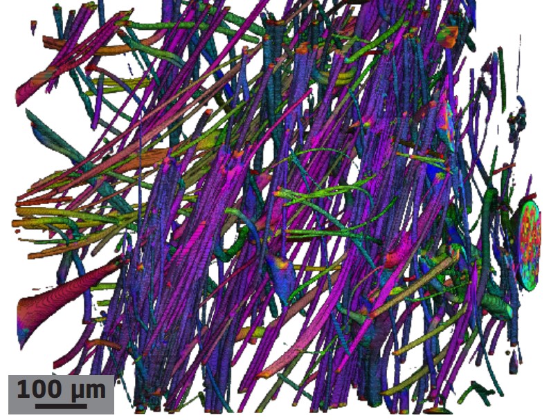 3D rendering showing the orientations of the fibres in a high  resolution X-ray CT scan after orientation analysis