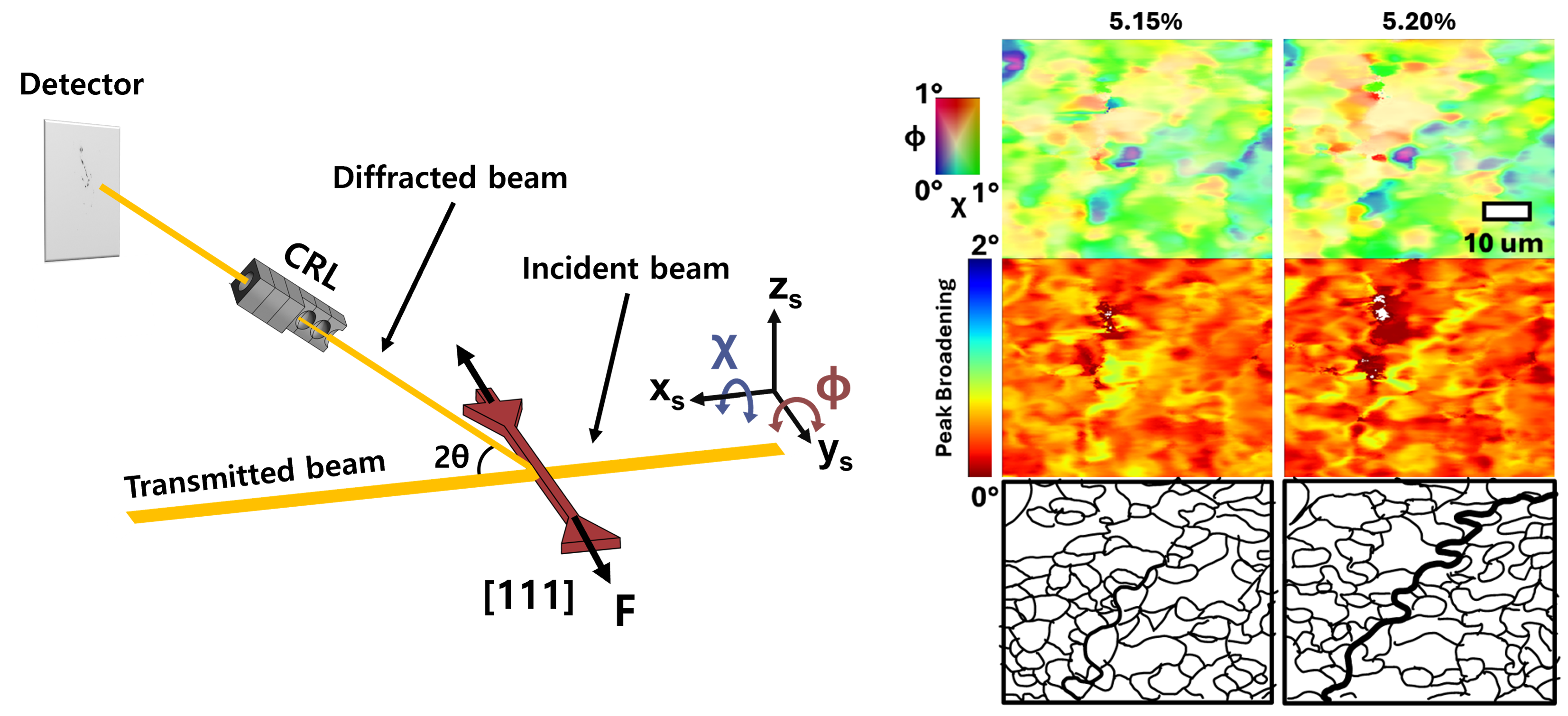 Schematic representation of the experimental setup (Left) and DFXM analysis results (Right).